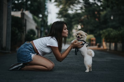 抚摸波美拉尼亚狗的女人